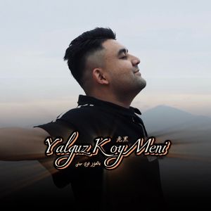 换脸范冰冰最惊艳的图片
