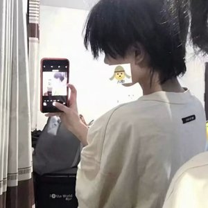 换脸范冰冰最惊艳的图片
