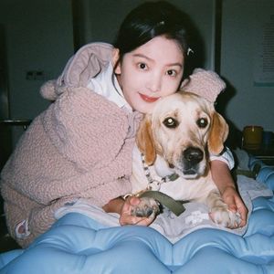 换脸范冰冰最惊艳的图片
