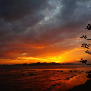 换脸范冰冰最惊艳的图片
